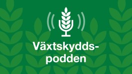 Lyssna till Växtskyddspodden