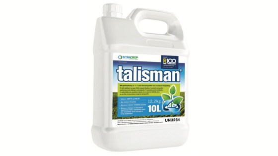 Talisman Biostimulant for potatis