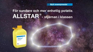 För sundare och mer enhetlig potatis - Allstar® 